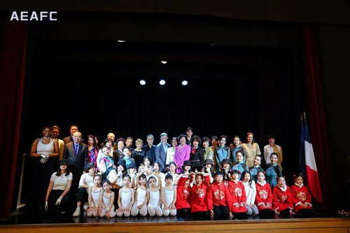中法文化艺术交流协会迎春活动暨pde国际舞蹈展演季新闻发布会