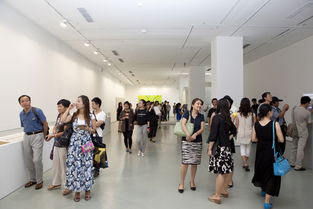 第十二届全国美展实验艺术展区在北京开幕 推动文化艺术交流新篇章