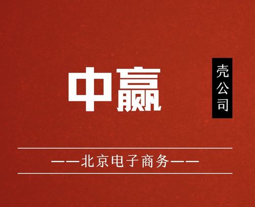 国家局核名中赢电子商务公司布局北京，助力企业发展并组织文化艺术交流活动